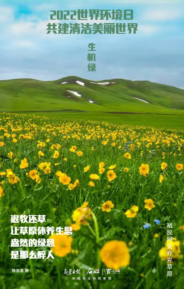 PG电子世界环境日组海报 今天来看新疆“环保色”