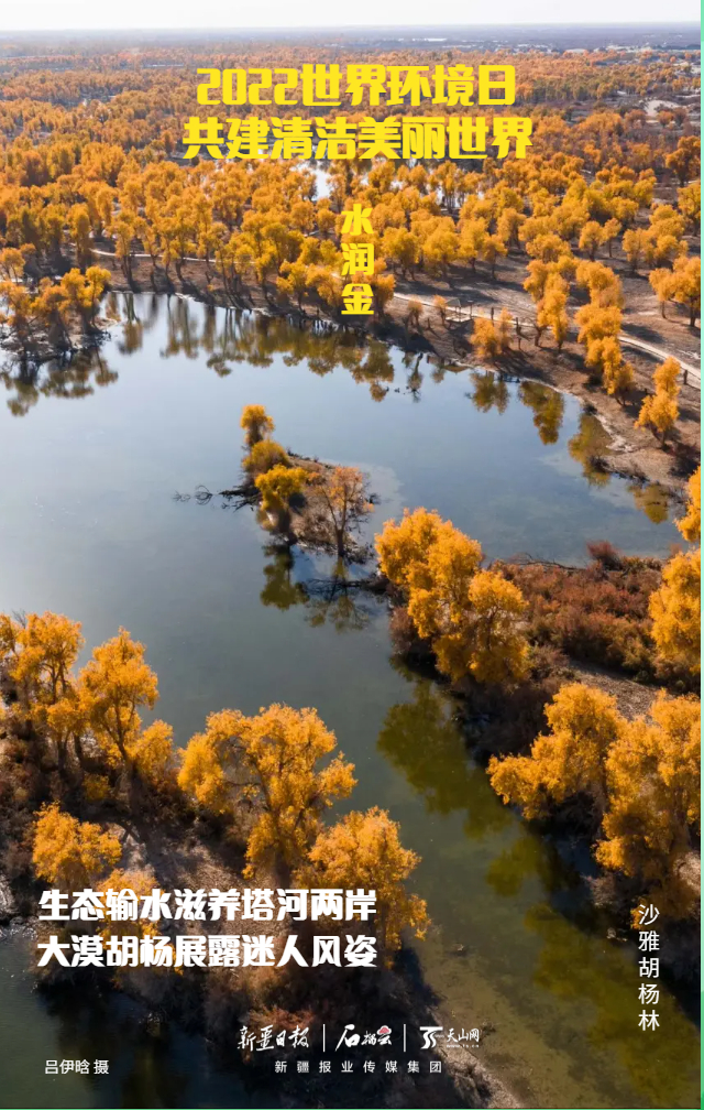 PG电子世界环境日组海报 今天来看新疆“环保色”(图4)