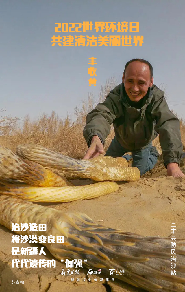PG电子世界环境日组海报 今天来看新疆“环保色”(图5)